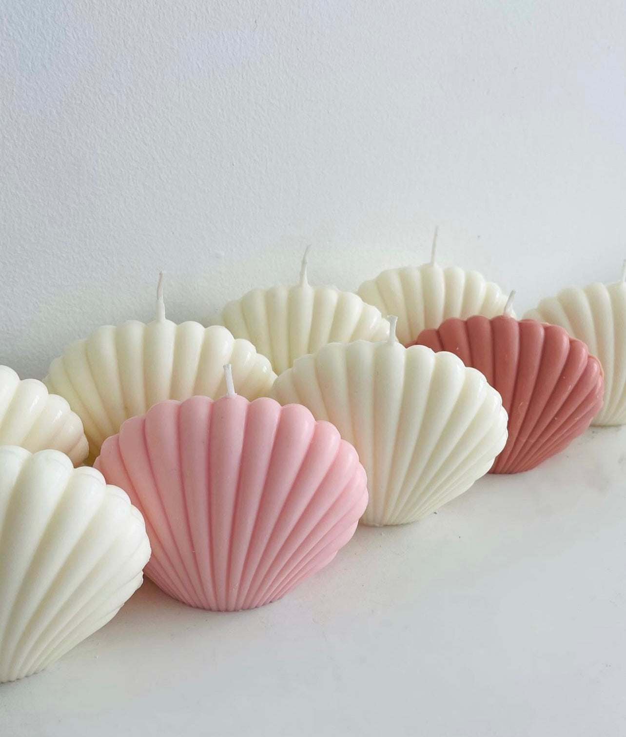 Sea Shell