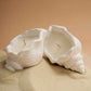 concrete sea shell (set of 2)