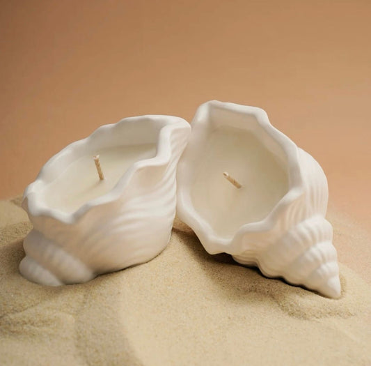 concrete sea shell (set of 2)