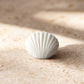 Sea Shell